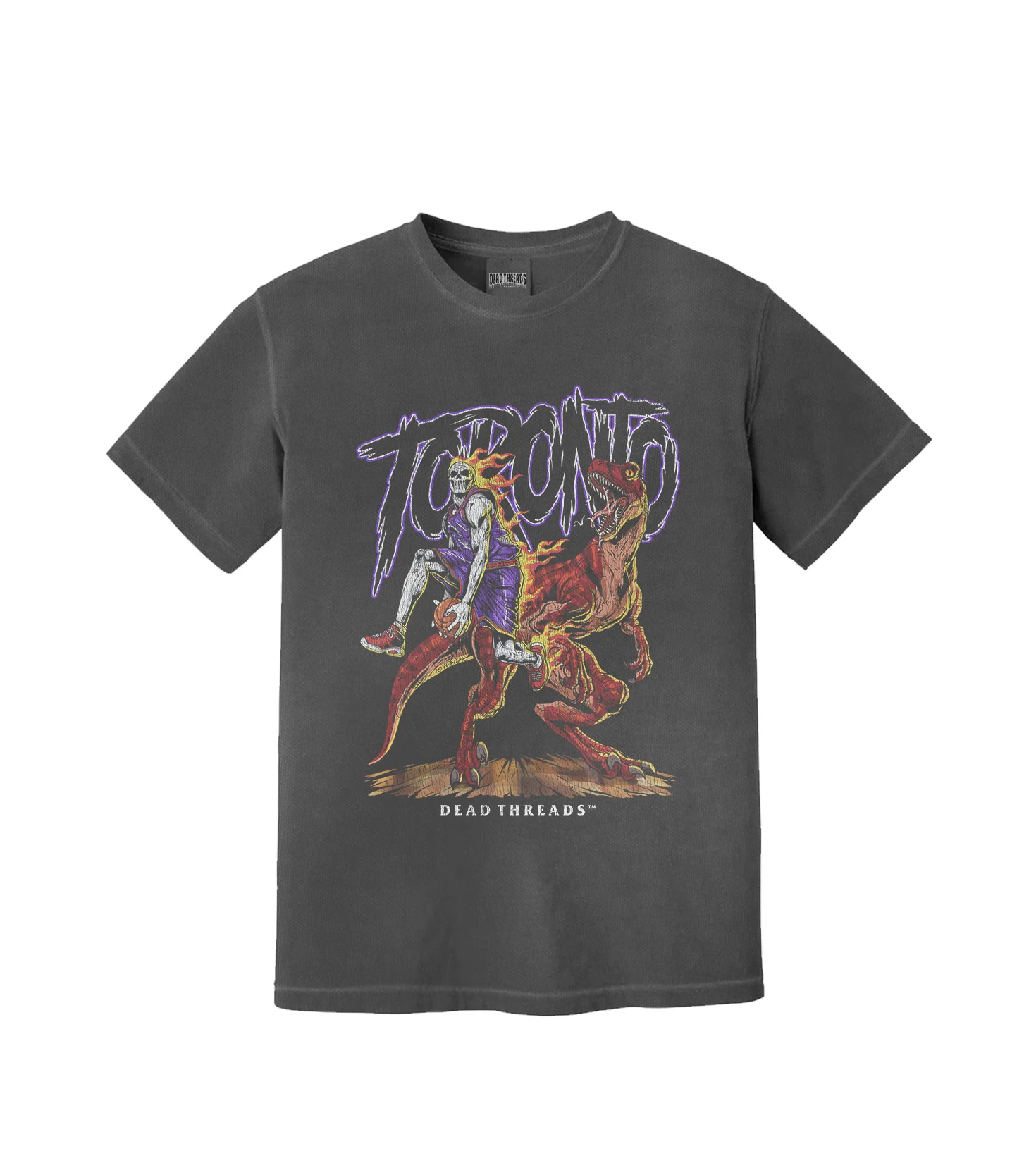 TORONTO BASKETBALL - Image 3